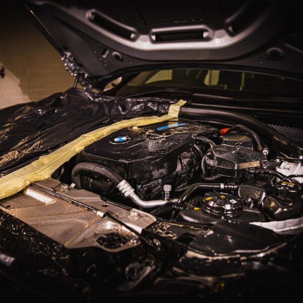 ძრავის ყველა კომპონენტისსაწმენდი