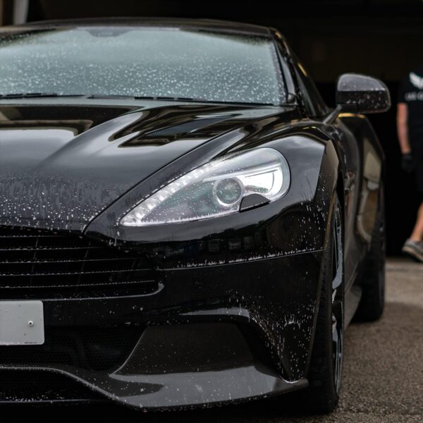 СРЕДСТВО ОТ КЛОПОВ И СОПЛЕЙ