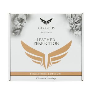 LEATHER PERFECTION KIT