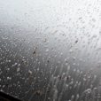 image_6_bug_sap2_600x600_3d61876f-ef6e-404f-a38c-6b242fc8fea2
