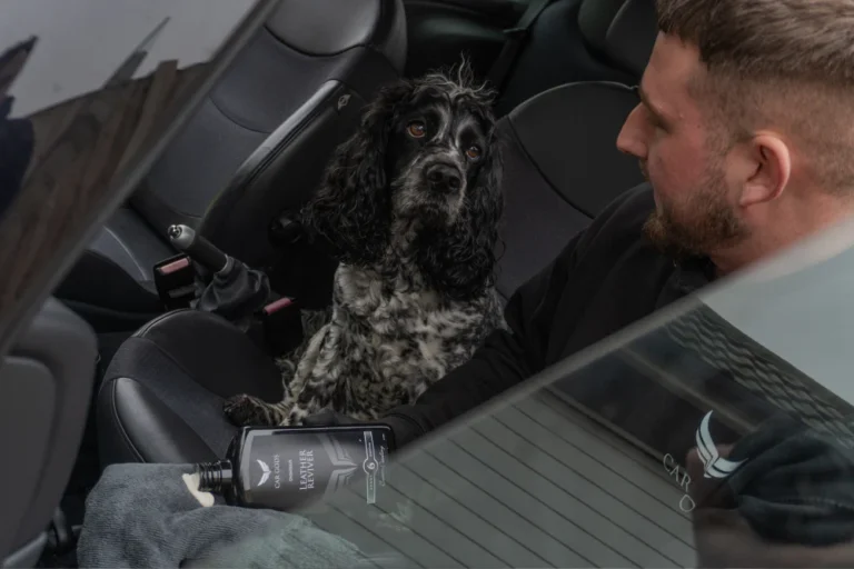 Top Dog: 5 Essential Products for All Dog Owners
