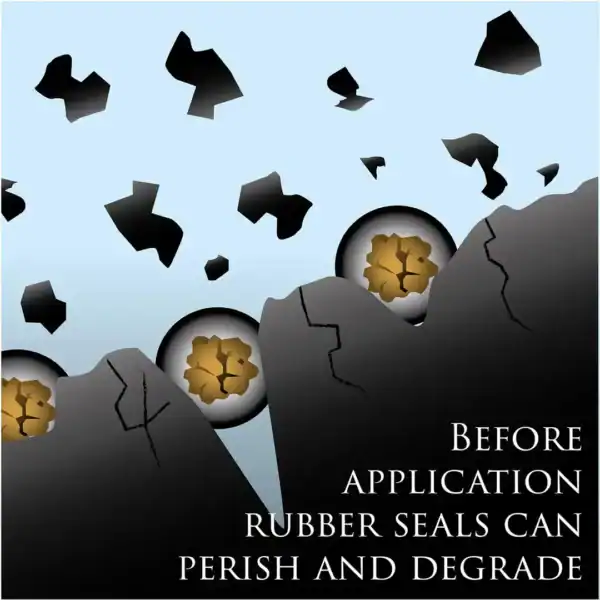 РЕЗИНОВЫЙ РЕВИЗОР